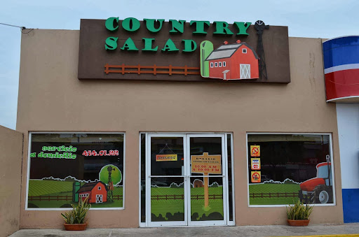 Country Salad