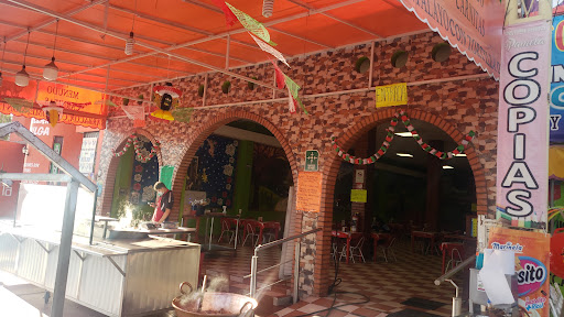 El GRAN BORREGO DE ORO