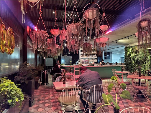 IL GIARDINO