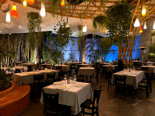 La Pasta, Guadalajara