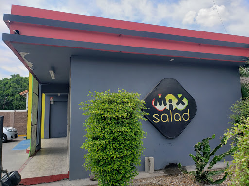 Mix Salad Madero