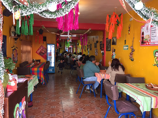 Pancita