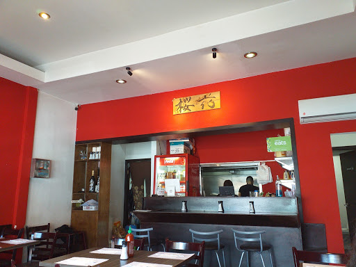 Sakura Ramen