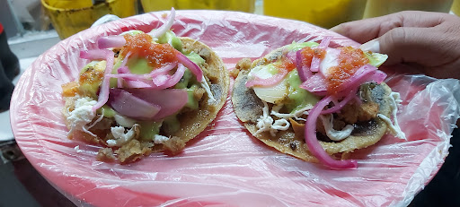 Salbutilandia