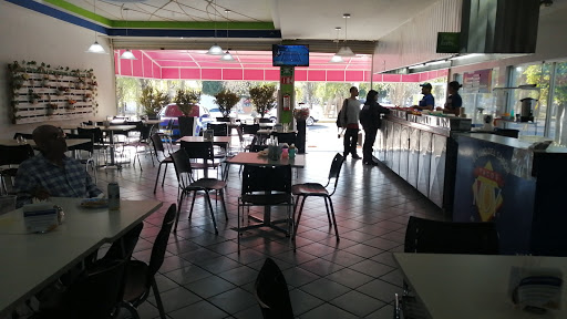 Tacos Moy Patria