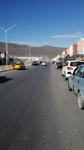 Taqueria viñedo