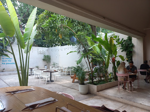 Te extraño, extraño. - Mérida